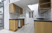 Halwell kitchen extension leads